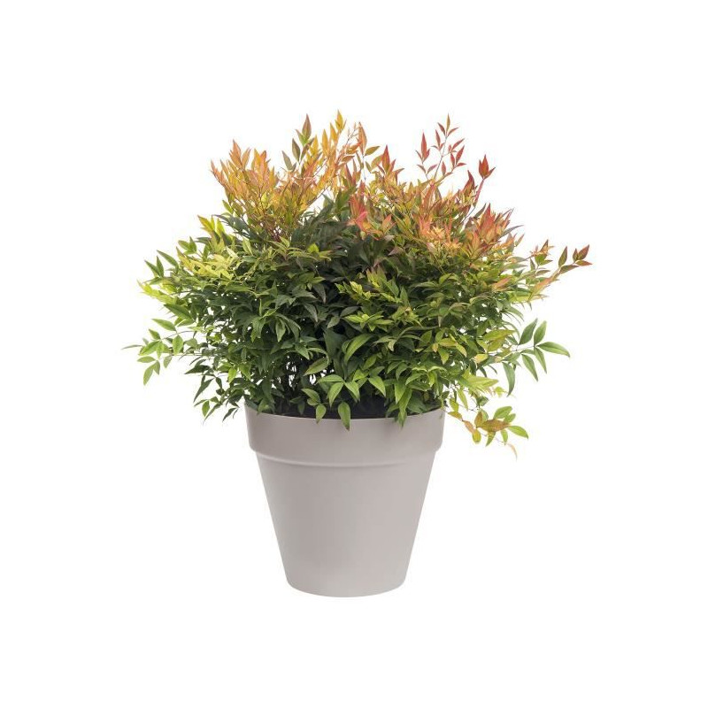 ELHO Pot de fleurs rond avec roues Loft Urban - Ø 40 cm - Gris chaud