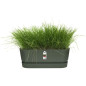 Planteur Ovale GREENVILLE - Plastique - Ø50 - Leaf Green