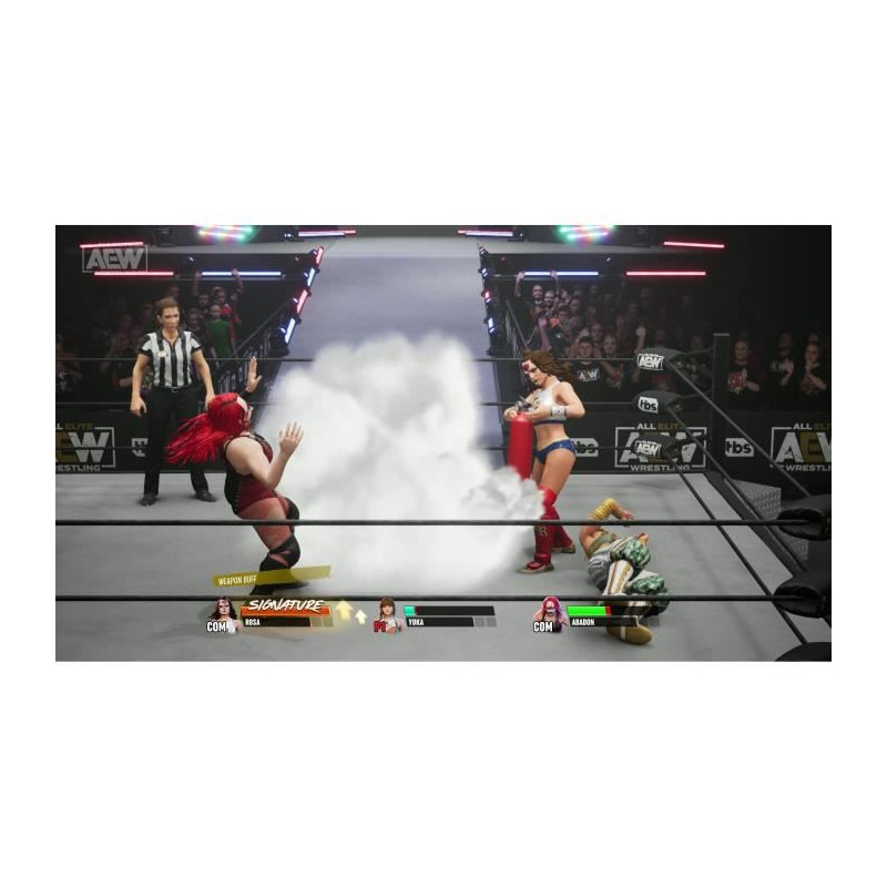AEW All Elite Wrestling Fight Forever Jeu Playstation 4