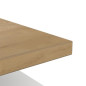Table basse rectangulaire ACCESS - 3 Niches - Décor chene Hamilton et blanc - L 91,8 x P 50 x H 36 cm - DEMEYERE