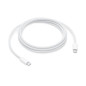 Câble Apple USB C pour iPhone 2 m Blanc