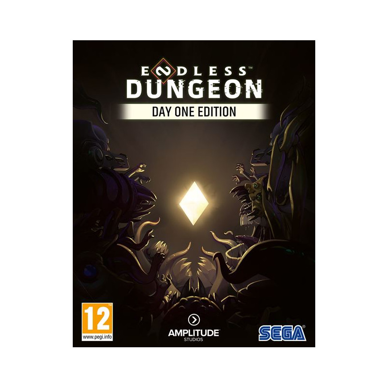 Endless Dungeon Day One Edition PC