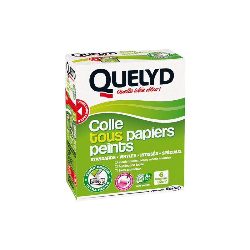 QUELYD QUELYD COLLE TOUS PAPIERS PEINTS 300G QUELYD - 30601377