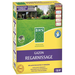 BHS GAZON REGARNISSAGE 3KG /NC BHS - GRP3