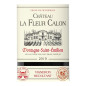 Château La Fleur Calon 2019 Montagne-Saint-Emilion - Vin rouge de Bordeaux
