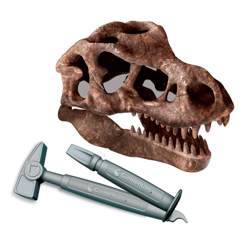 Clementoni Science & Play - T-Rex Skull 56162