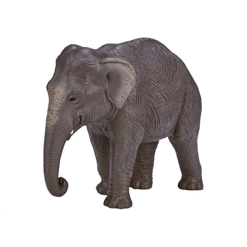 Mojo Wildlife Asian Elephant - 387266 387266