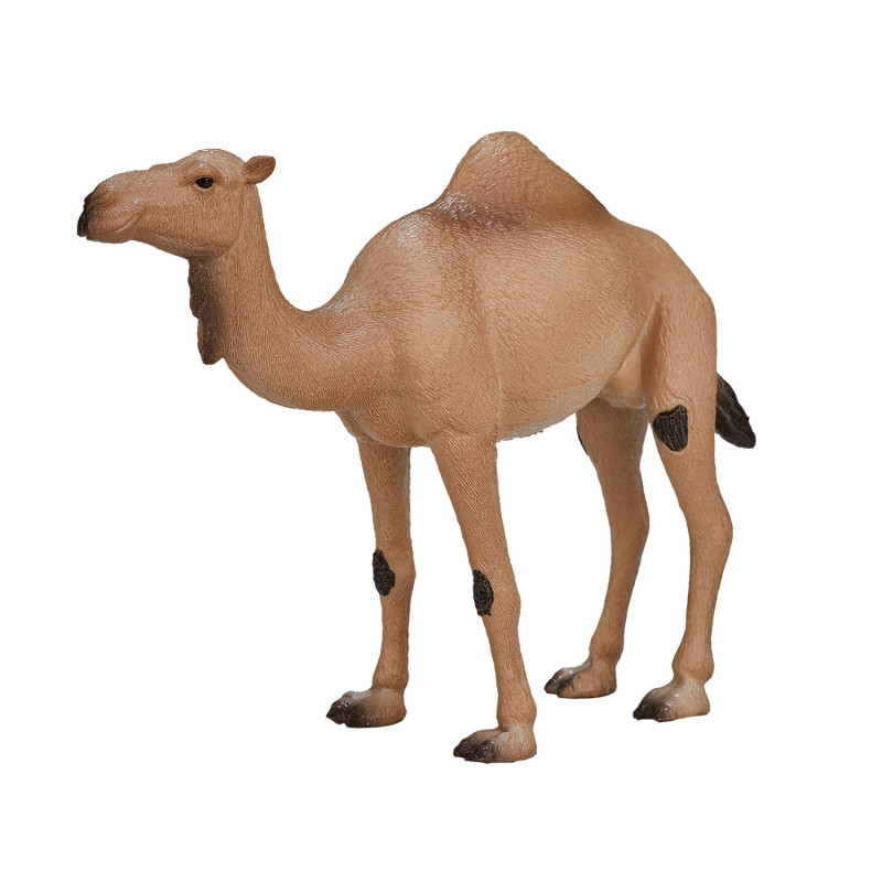 Mojo Wildlife Arabian Camel - 387113 387113
