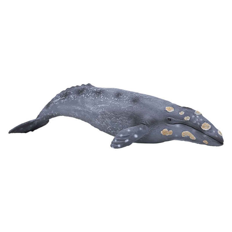 Mojo Sealife - Gray Whale 387280 387280