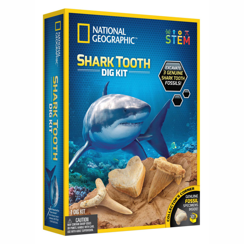 Boti - National Geographic Shark Teeth Count Set 38875