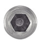 Vis à métaux sans tête hexagonale creuse bout plat inox A2 DIN 913 8X10 boîte de 100 ACTON 622048X10