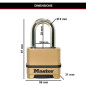 Cadenas Haute Sécurité - MASTER LOCK - M175EURDLF - Combinaison - Zinc - Anse L - Extérieur