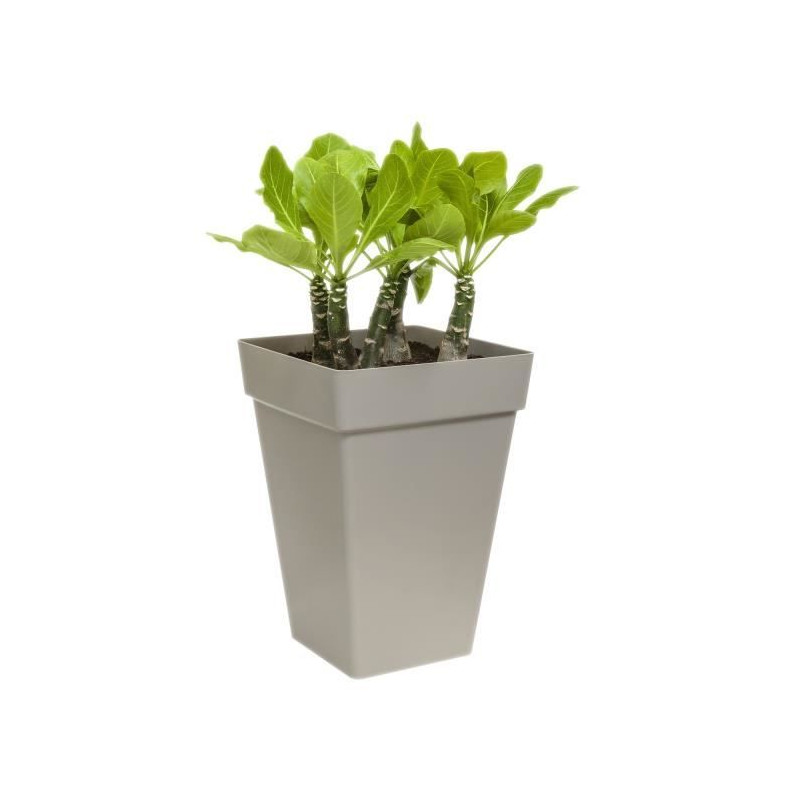 Pot de fleurs carré haut 30 - Blanc - Elho Loft Urban - 100% recyclé