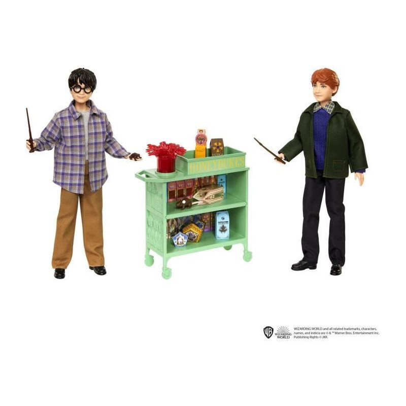 Coffret Harry et Ron - Mattel - HND79 - Poupée mannequin Harry Potter