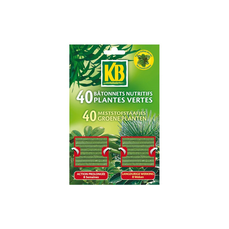 BATONNETS PLANTES VERTES KB X40   /NC KB - BPV