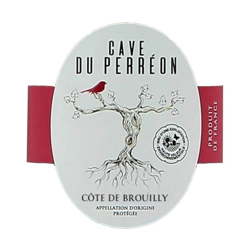 Cave du Pérréon 2022 Côte de Brouilly - Vin rouge de Beaujolais