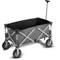 Chariot 4 roues - KAMPA - Trucker Trolley - Pliable - Gris
