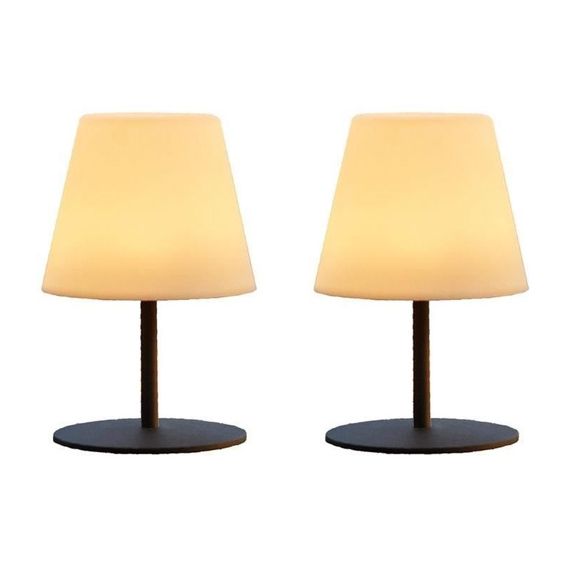 Pack de 2 Lampes de table sans fil - LUMISKY - TWINS - H16 cm - Pied en acier gris - LED blanc chaud et blanc